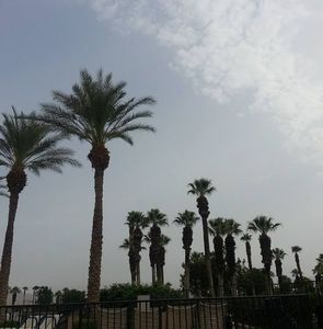 Meet your Posher, Peter